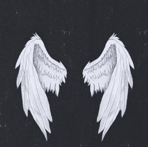 Meet your Posher, Ava